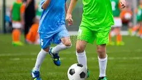 春晚绿茵盛宴：群星璀璨共庆蛇年新春